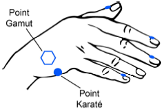 Point Karaté